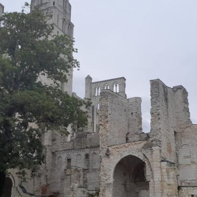 178 abbaye de jumieges